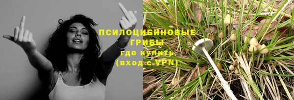 ALPHA PVP Михайловск