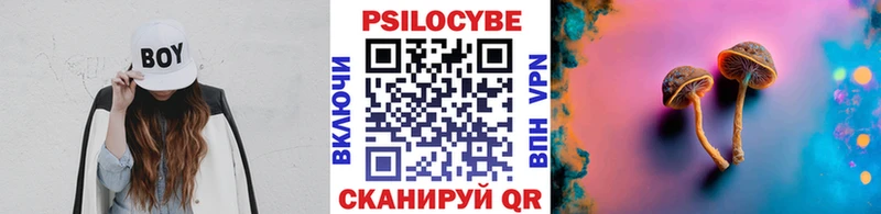 даркнет сайт  mega как зайти  Галлюциногенные грибы Psilocybine cubensis  Липецк 